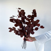 PRESERVED POLYGUM | DEEP BURGUNDY