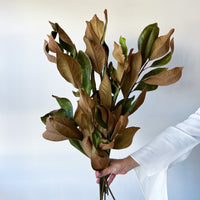 PRE ORDER NOVEMBER DRIED MAGNOLIA