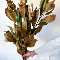 PRE ORDER NOVEMBER DRIED MAGNOLIA