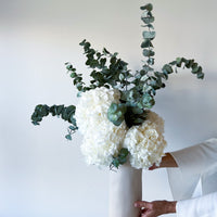 PRE ORDER DECEMBER - NEBRASKA