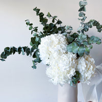 PRE ORDER DECEMBER - NEBRASKA