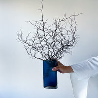 DRIED COROKIA