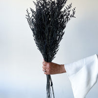 PRESERVED MISTY | BLACK