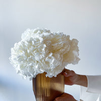 PRE ORDER NOVEMBER GREENLY (AMBER glass vase)