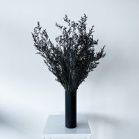 PRESERVED MISTY | BLACK