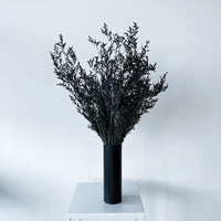 PRESERVED MISTY | BLACK