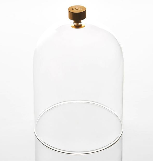 GLASS CLOCHE I SOH MELBOURNE