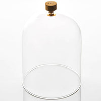 GLASS CLOCHE I SOH MELBOURNE