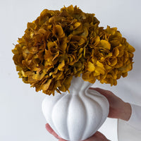 AURELIA PRESERVED AUTUMN HYDRANGEA IN WHITE VASE