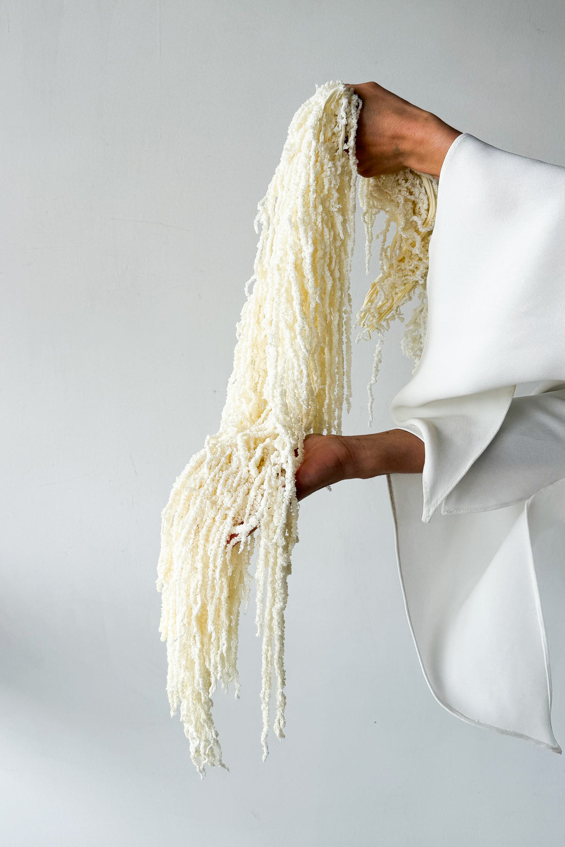 PRESERVED AMARANTHUS | IVORY WHITE