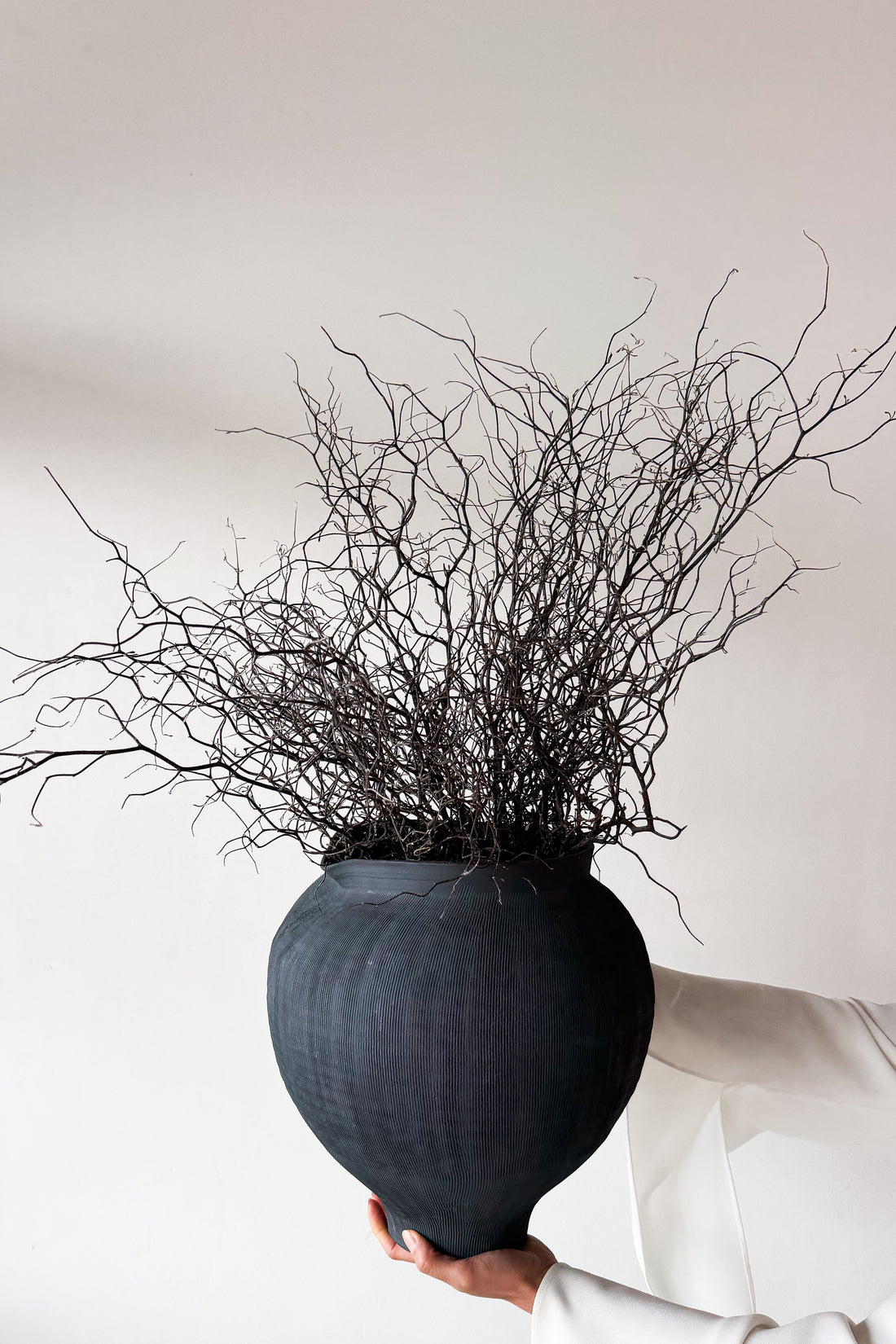 DRIED COROKIA