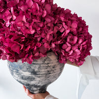 ALESSANDRA PRESERVED FLOWER ARRANGEMENT IN ASWAN VESSEL