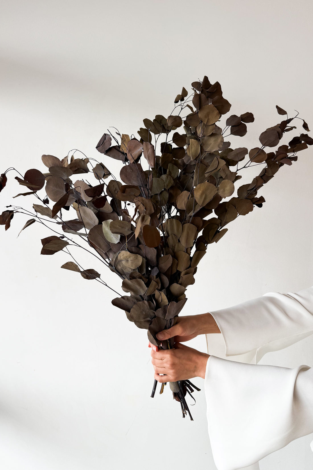 PRESERVED POLYGUM FOLIAGE | NATURAL