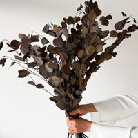 PRESERVED POLYGUM FOLIAGE | NATURAL