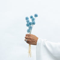 PRESERVED SCABIOSA | GREY BLUE