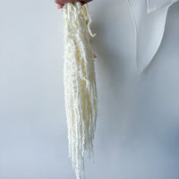 PRESERVED AMARANTHUS | IVORY