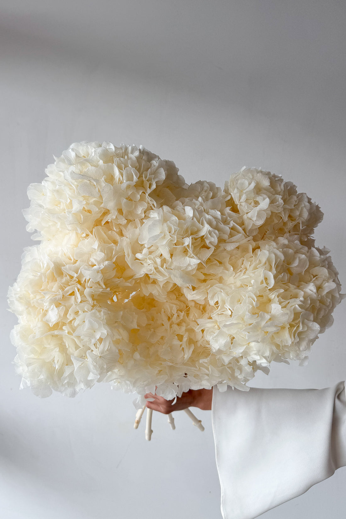 PRESERVED HYDRANGEA STEM I WHITE I LARGE-LEAF