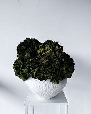 CHARLOTTE | OLIVE-GREEN PRESERVED HYDRANGEAS IN THEO VASE