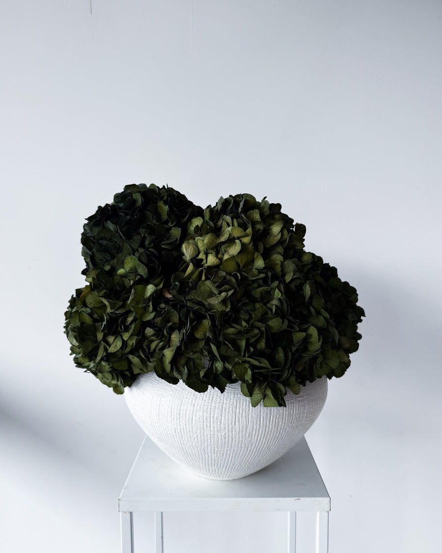 CHARLOTTE | OLIVE-GREEN PRESERVED HYDRANGEAS IN THEO VASE