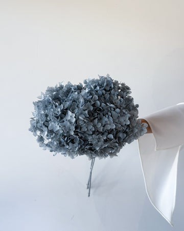 PRESERVED HYDRANGEA STEM I GREY-BLUE I SMALL-LEAF