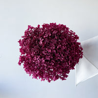 PRESERVED HYDRANGEA STEM I DEEP FUCHSIA I SMALL-LEAF