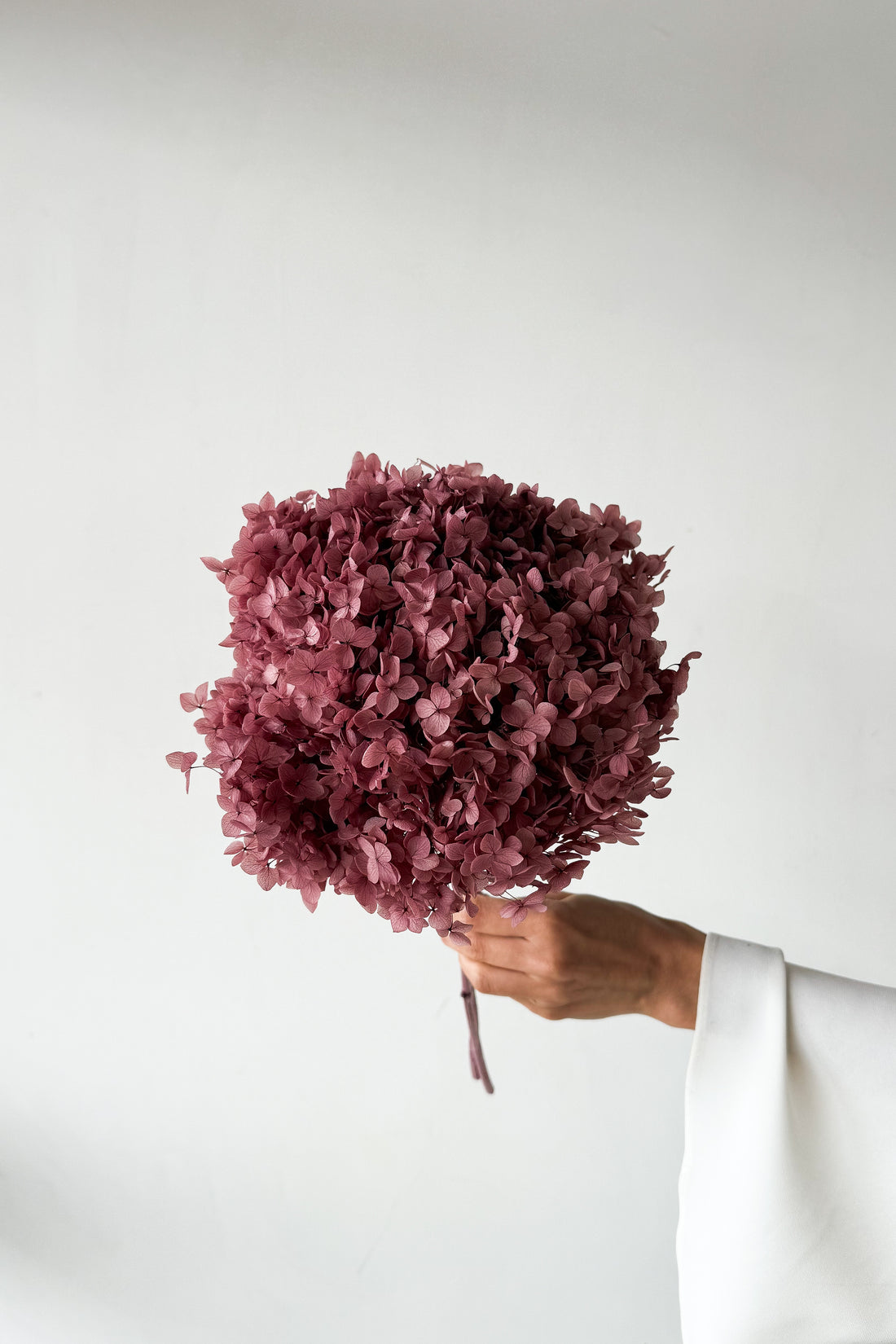PRESERVED HYDRANGEA STEM I DEEP BLUSH | SMALL-LEAF