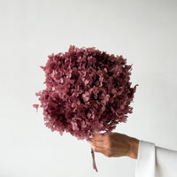 PRESERVED HYDRANGEA STEM I DEEP BLUSH | SMALL-LEAF