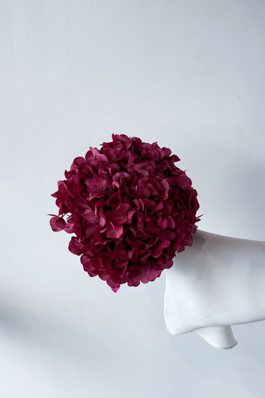 PRESERVED HYDRANGEA STEM I GIGI PINK I LARGE-LEAF