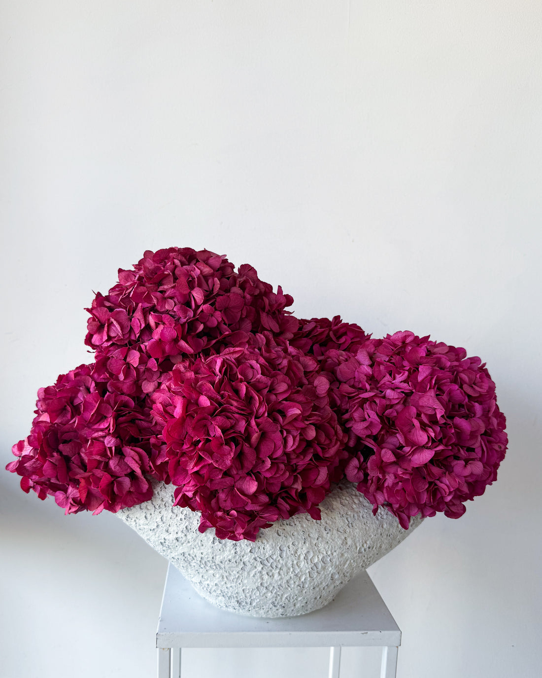 CHARLOTTE FUCHSIA PRESERVED HYDRANGEAS IN SALT CRUST COSSE VASE