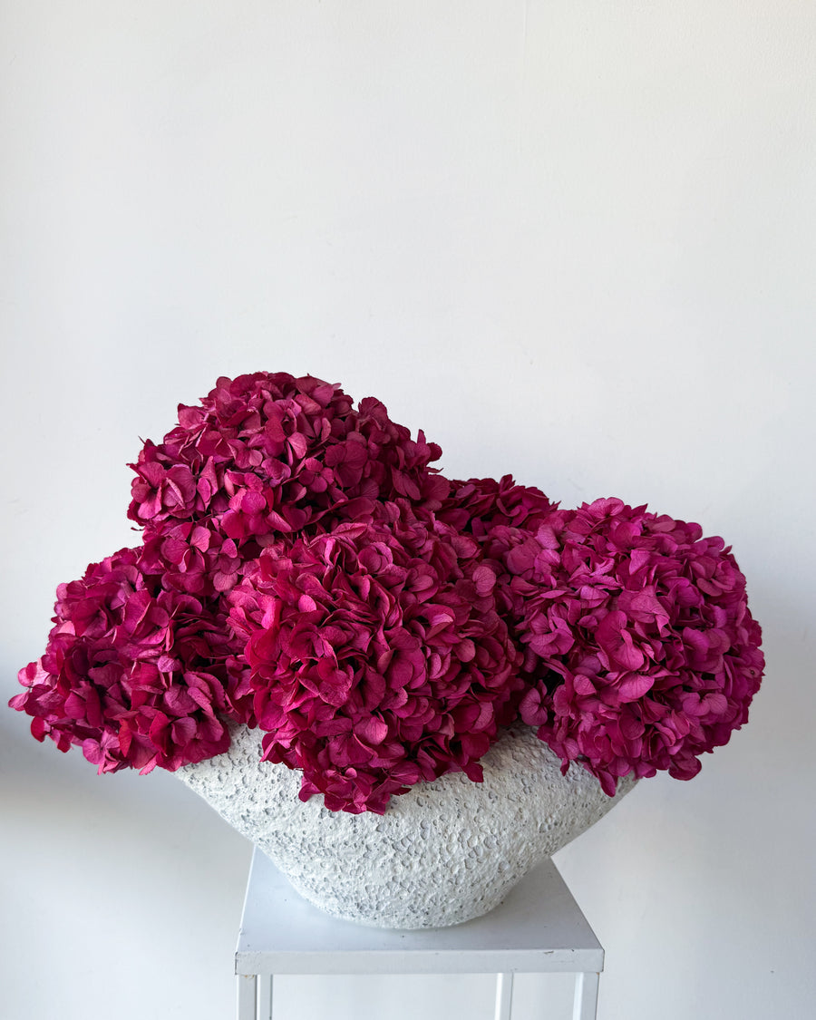 CHARLOTTE FUCHSIA PRESERVED HYDRANGEAS IN SALT CRUST COSSE VASE