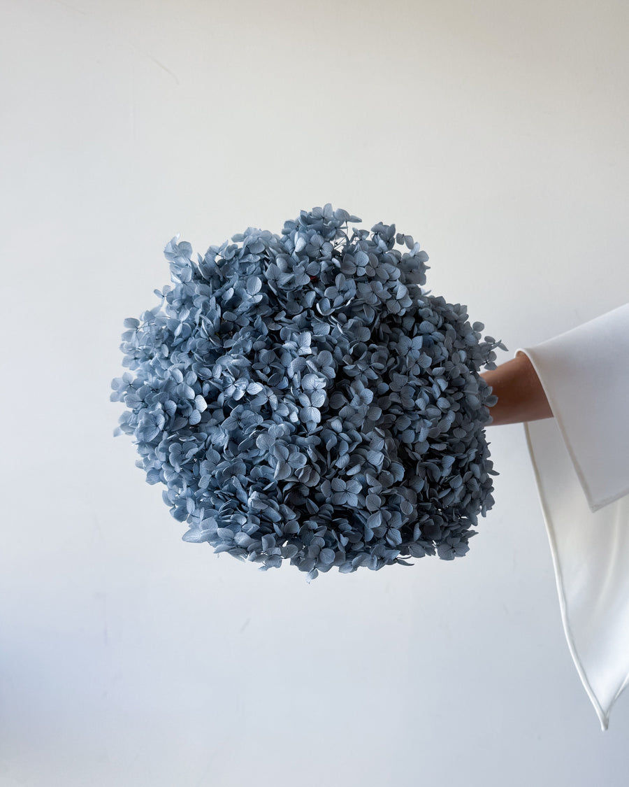 PRESERVED HYDRANGEA STEM I GREY-BLUE I SMALL-LEAF