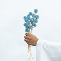 PRESERVED SCABIOSA | GREY BLUE