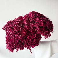PRESERVED HYDRANGEA STEM I DEEP FUCHSIA I SMALL-LEAF