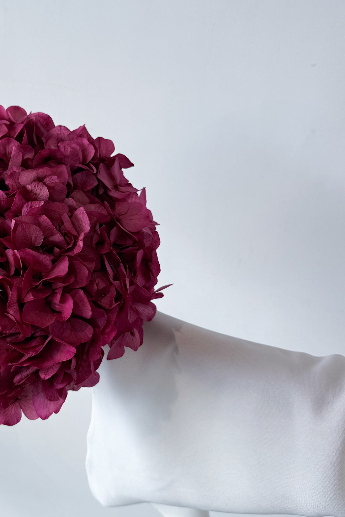 PRESERVED HYDRANGEA STEM I GIGI PINK I LARGE-LEAF