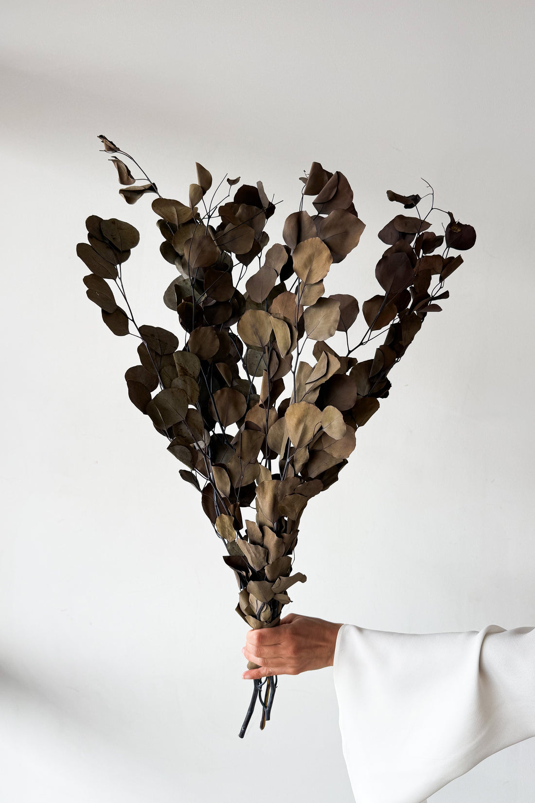 PRESERVED POLYGUM FOLIAGE | NATURAL