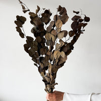 PRESERVED POLYGUM FOLIAGE | NATURAL