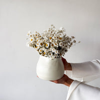DAISY DREAM DRIED FLOWER ARRANGEMENT IN WHITE VASE