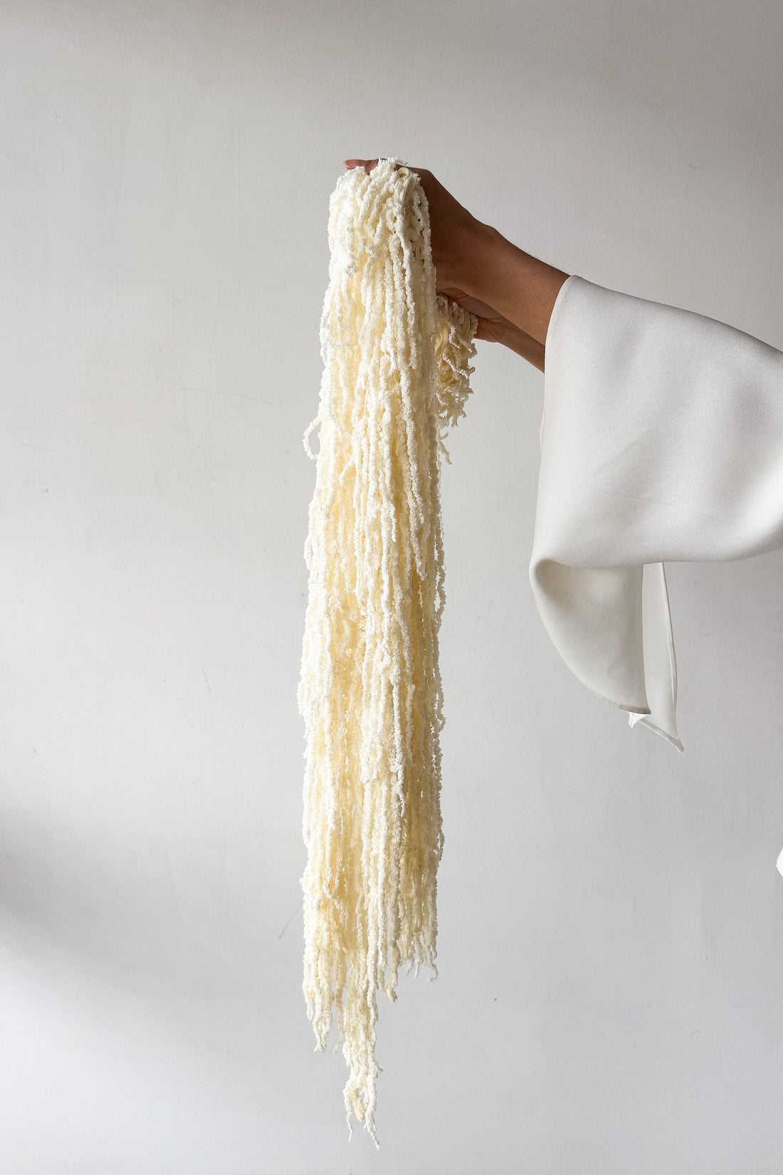 PRESERVED AMARANTHUS | IVORY WHITE