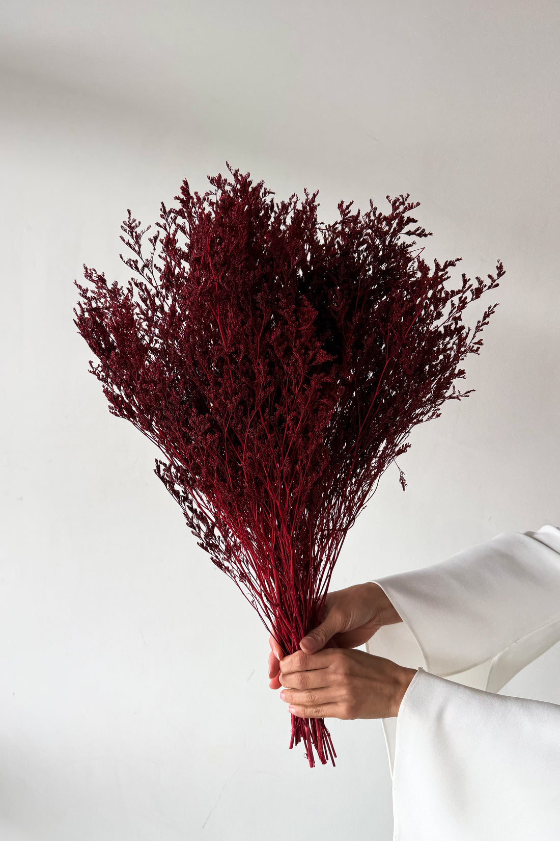 PRESERVED MISTY | WINE RED