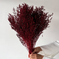 PRESERVED MISTY | WINE RED