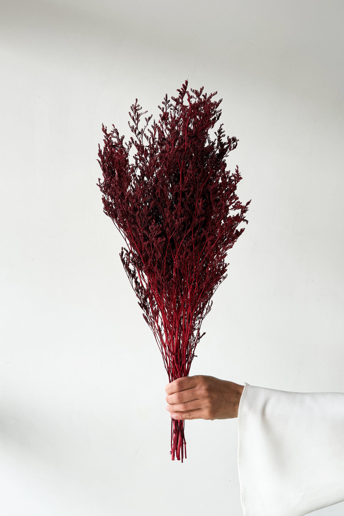 PRESERVED MISTY | WINE RED