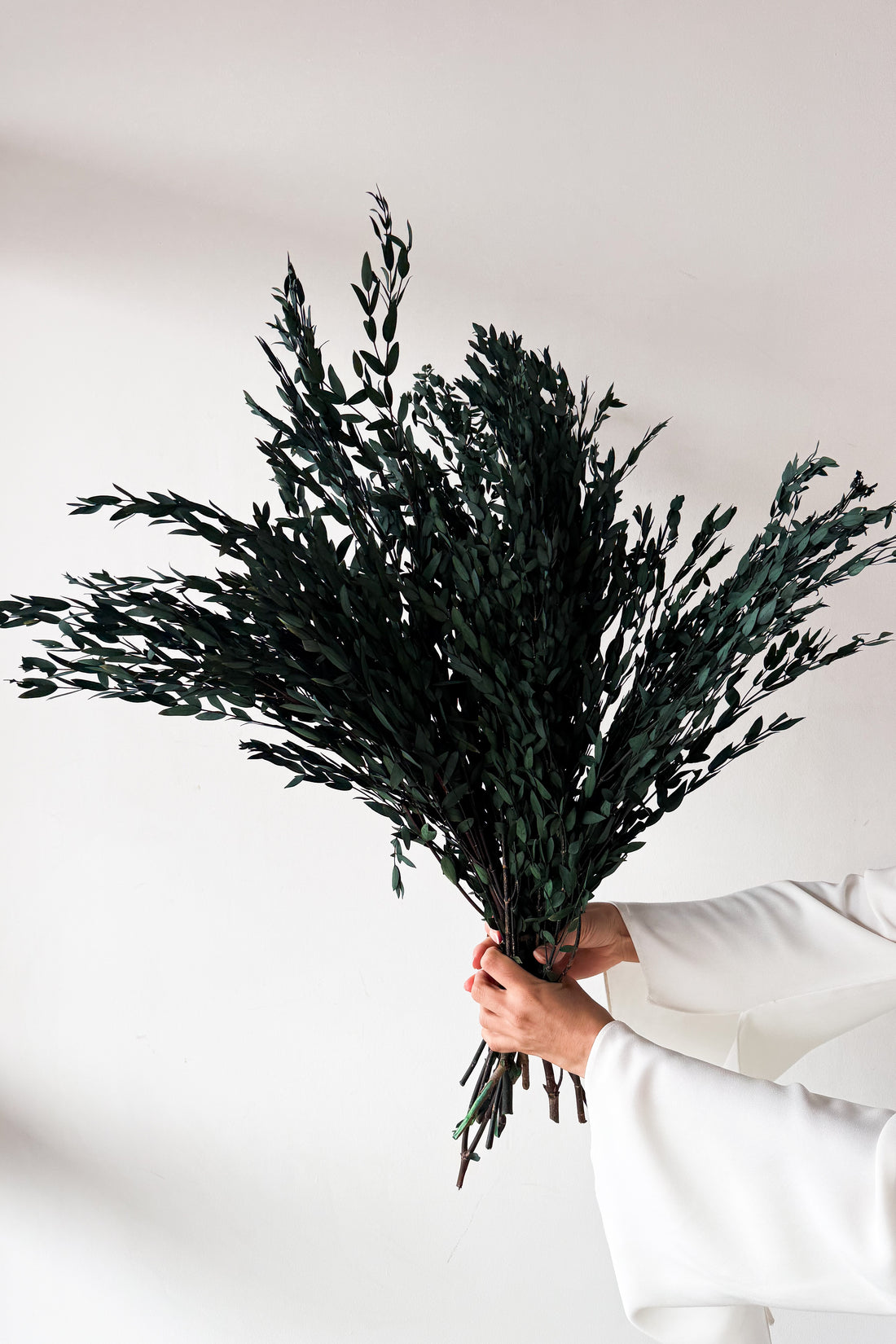 PRESERVED SMALL-LEAF GUM | DEEP SEA GREEN