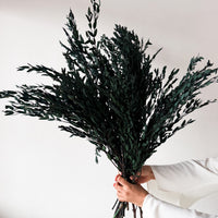 PRESERVED SMALL-LEAF GUM | DEEP SEA GREEN