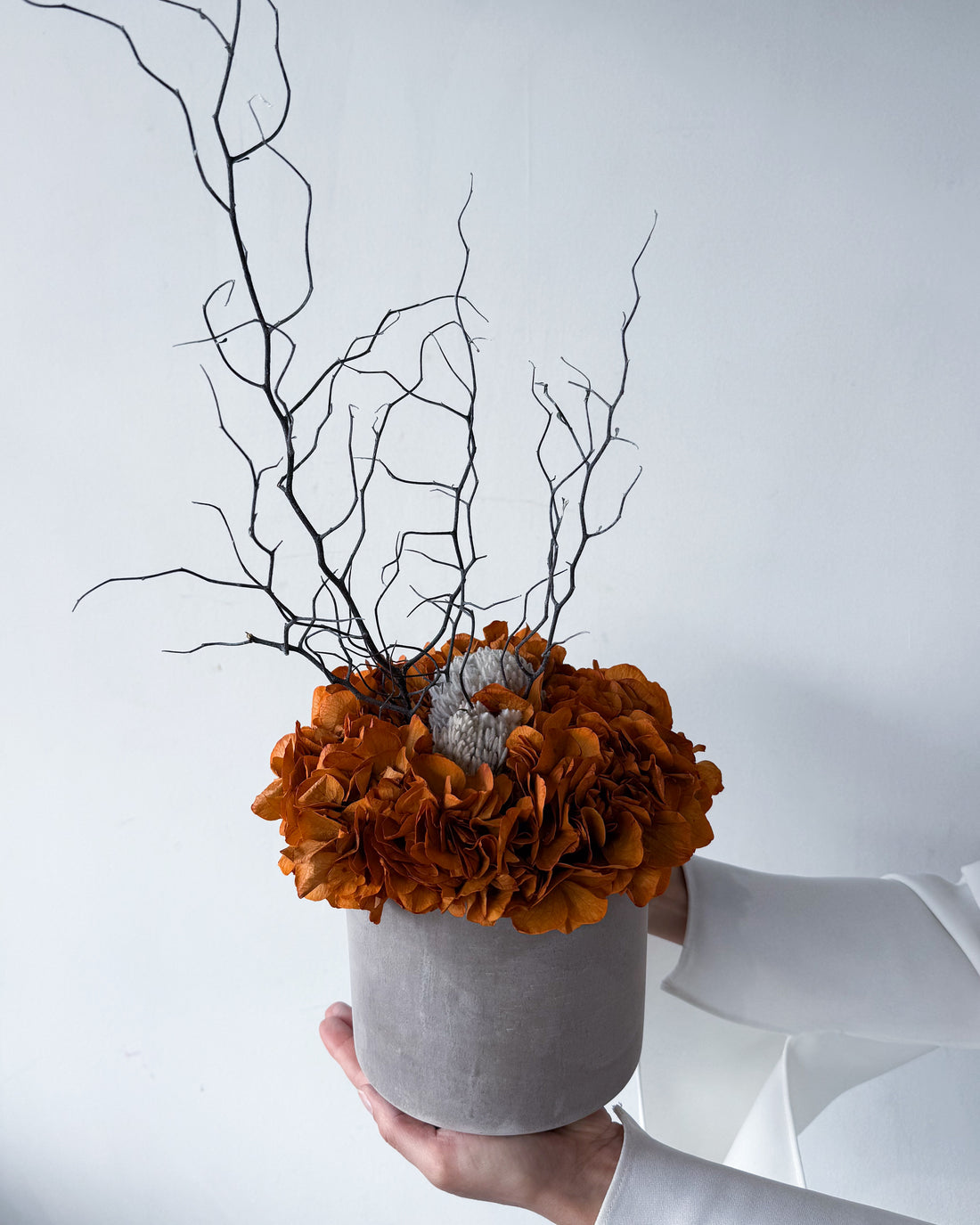 THE MAHA | LARGE-LEAF BURNT ORANGE