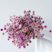 DRIED DAISIES BOUQUET | BLOSSOM