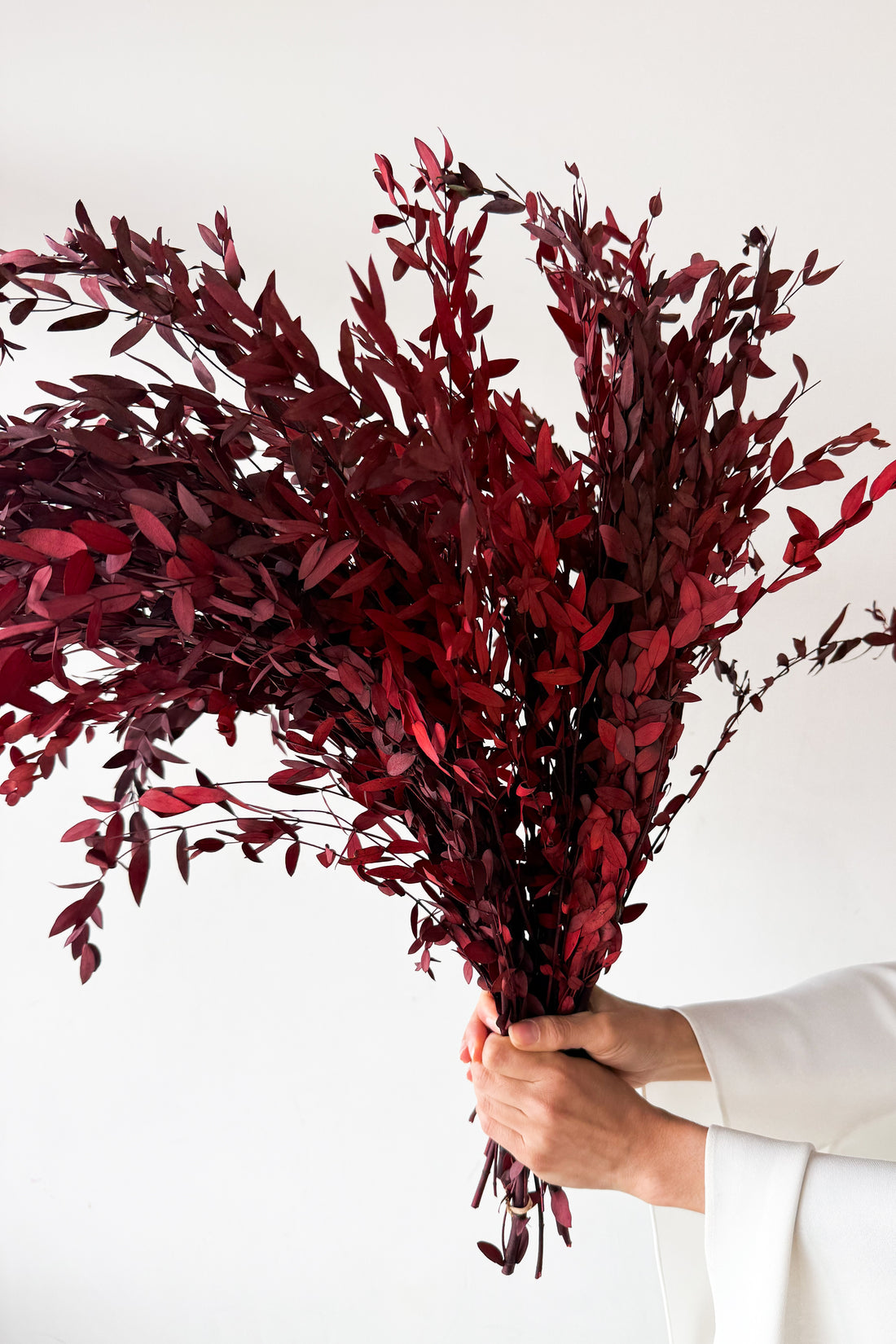 PRESERVED SMALL-LEAF GUM | MARONE-RED
