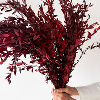 PRESERVED SMALL-LEAF GUM | MARONE-RED