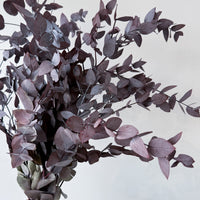 PRESERVED GUM | BURGUNDY