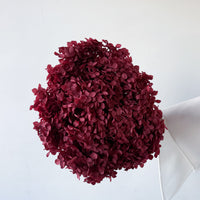 PRESERVED HYDRANGEA STEM | WINE RED | SMALL-LEAF