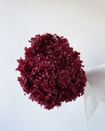PRESERVED HYDRANGEA STEM | WINE RED | SMALL-LEAF